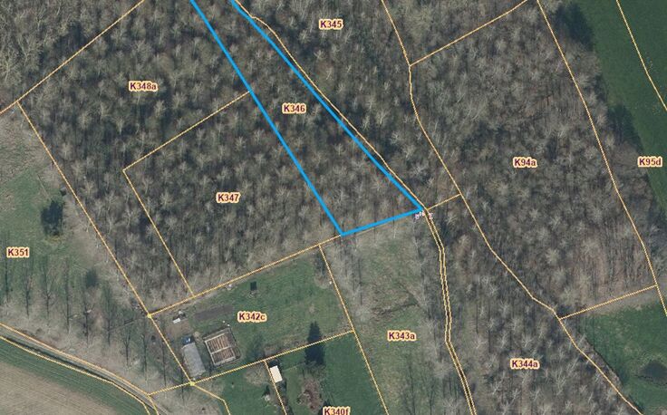 Bos te koop in Sint-Pieters-Leeuw