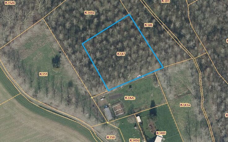 Bos te koop in Sint-Pieters-Leeuw