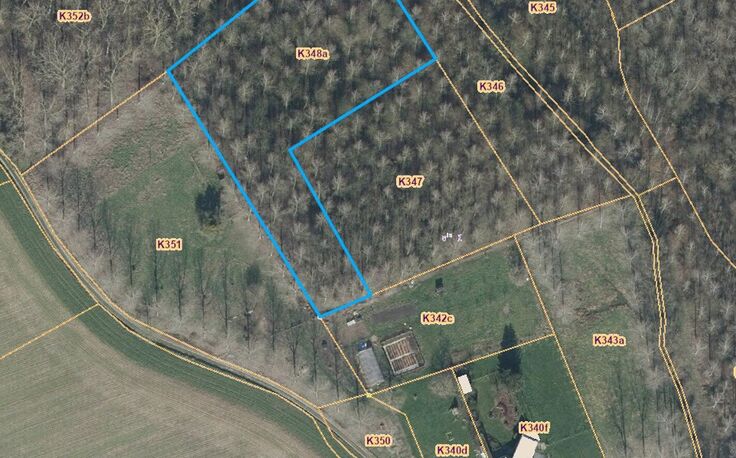 Bos te koop in Sint-Pieters-Leeuw