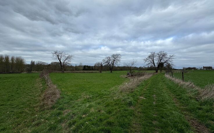 Verger &agrave; vendre &agrave; Sint-Pieters-Leeuw