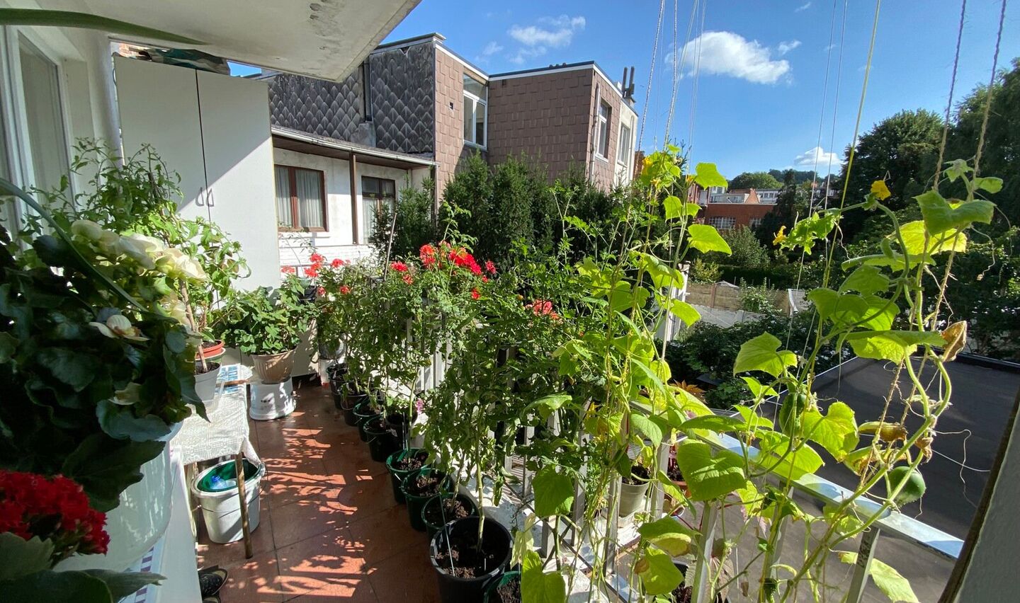 Appartementsgebouw te koop in Vorst