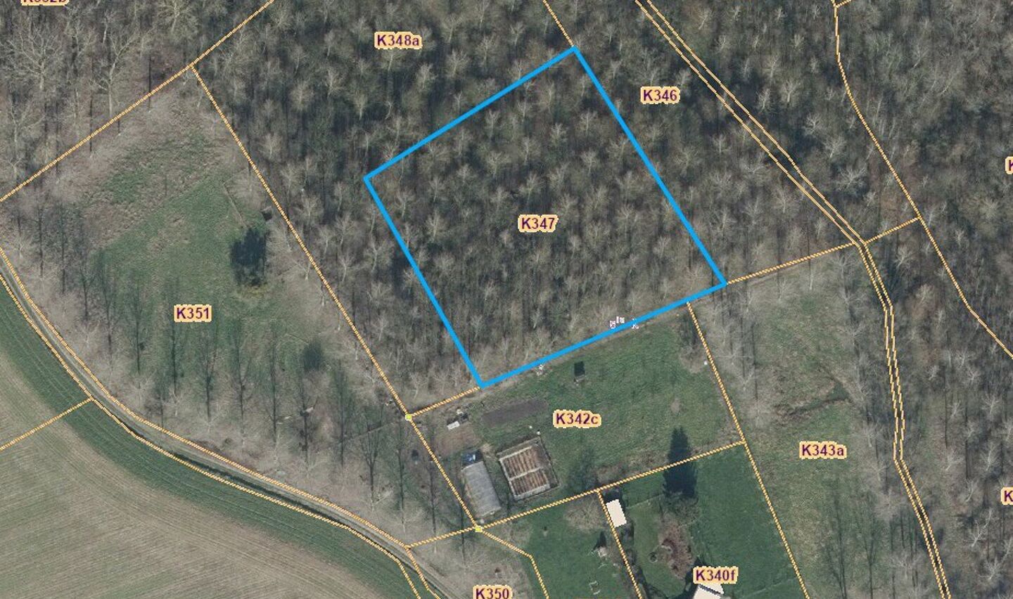 Bois à vendre à Sint-Pieters-Leeuw