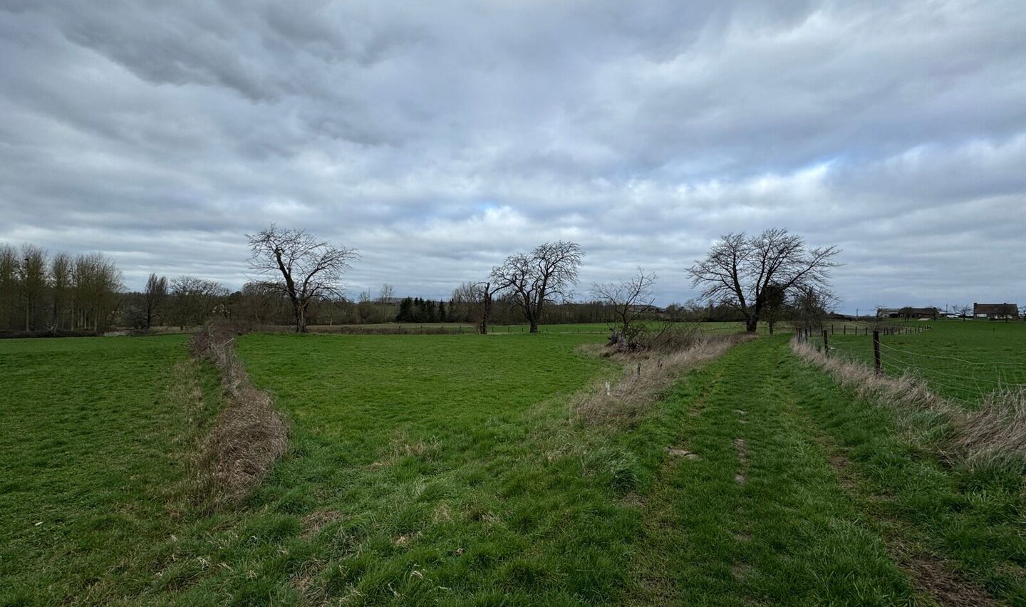 Boomgaard te koop in Sint-Pieters-Leeuw