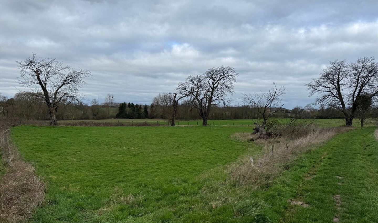Boomgaard te koop in Sint-Pieters-Leeuw