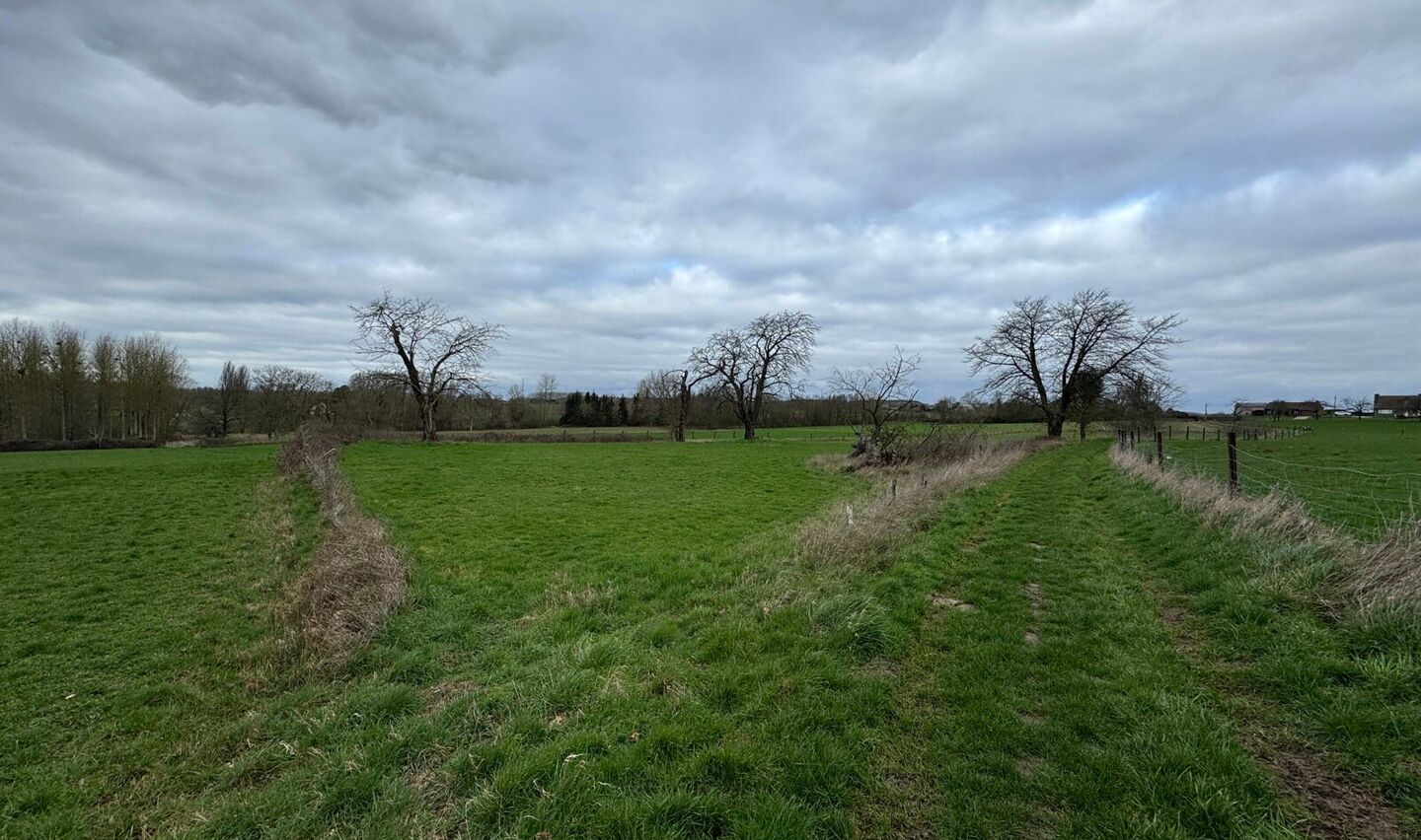 Boomgaard te koop in Sint-Pieters-Leeuw