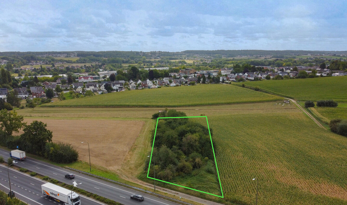 Bos te koop in Halle