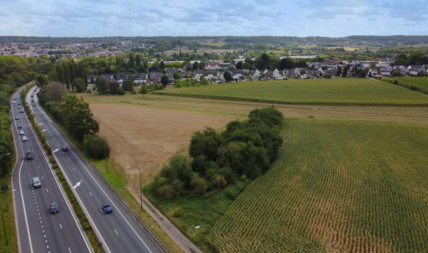 Bos te koop in Halle