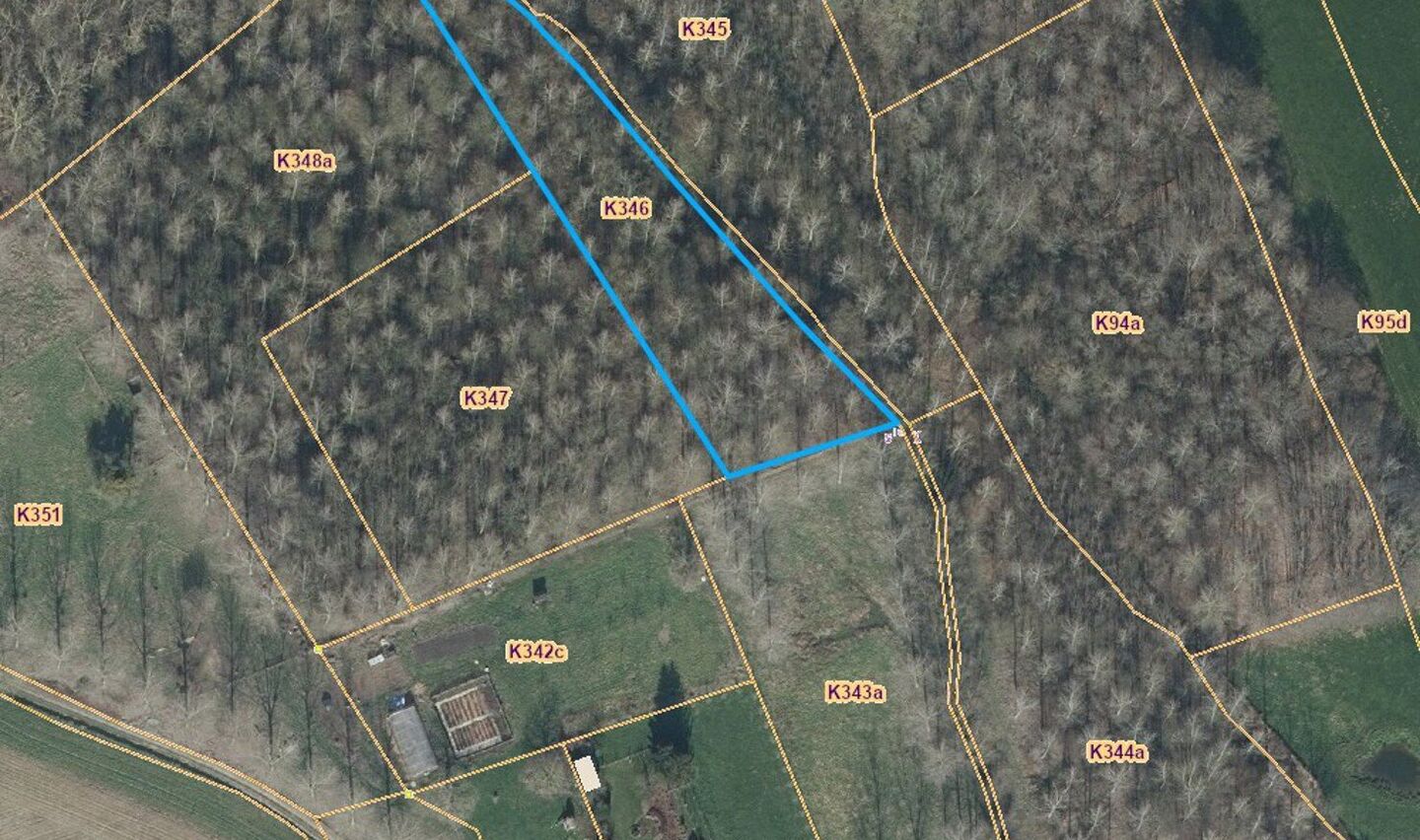 Bos te koop in Sint-Pieters-Leeuw