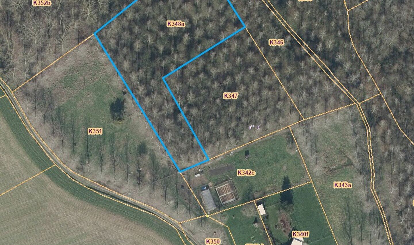 Bos te koop in Sint-Pieters-Leeuw