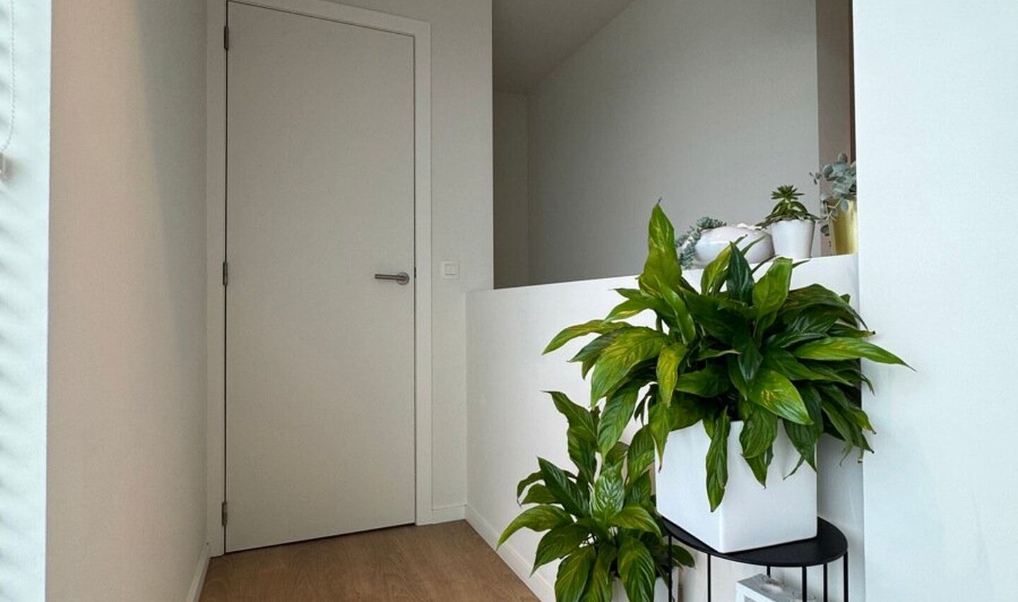 Duplex te huur in Lennik