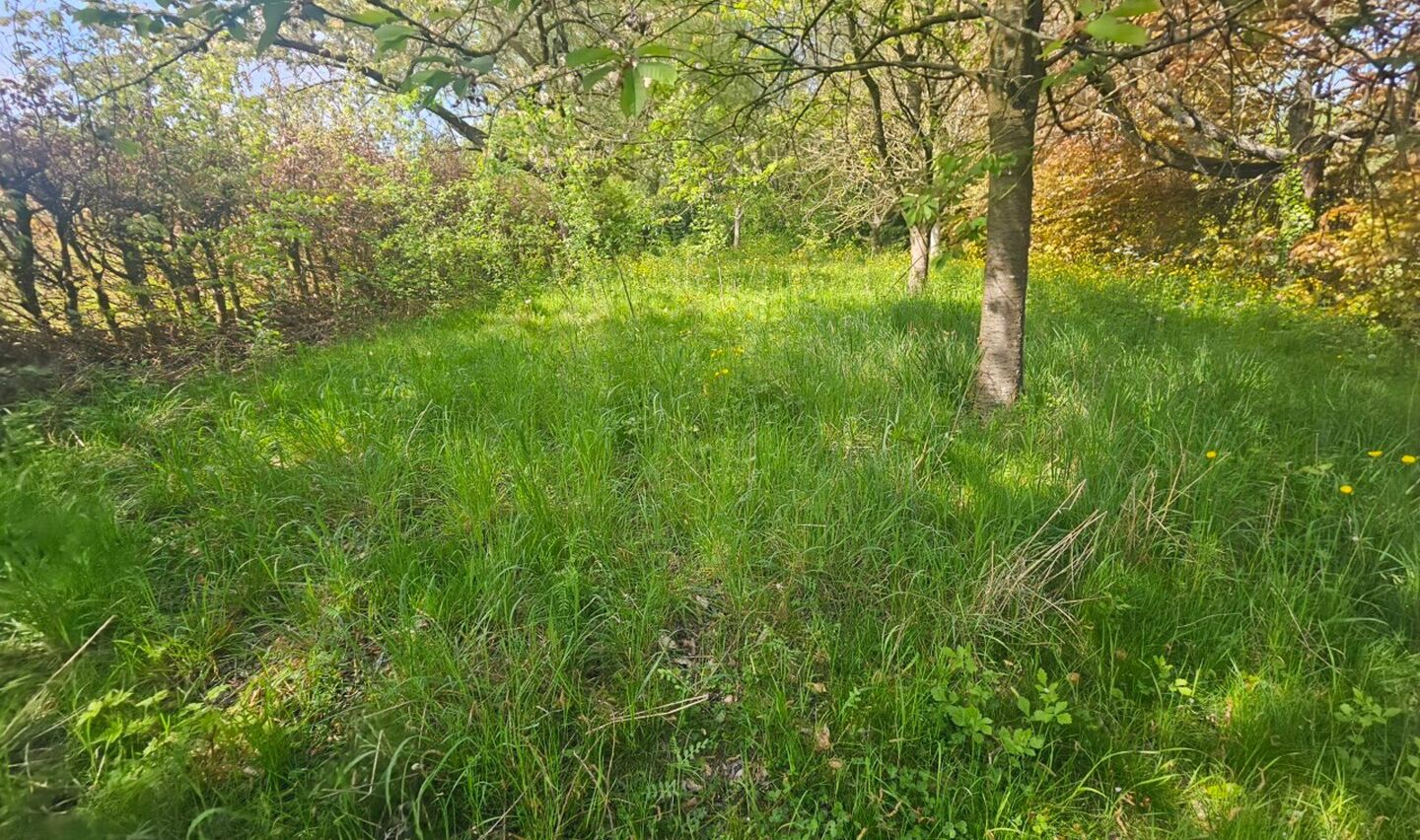 Huis te koop in Dilbeek