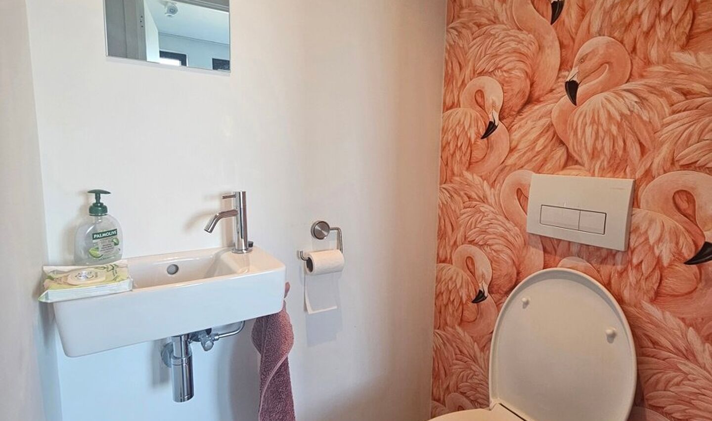 Penthouse &agrave; louer &agrave; Sint-Pieters-Leeuw