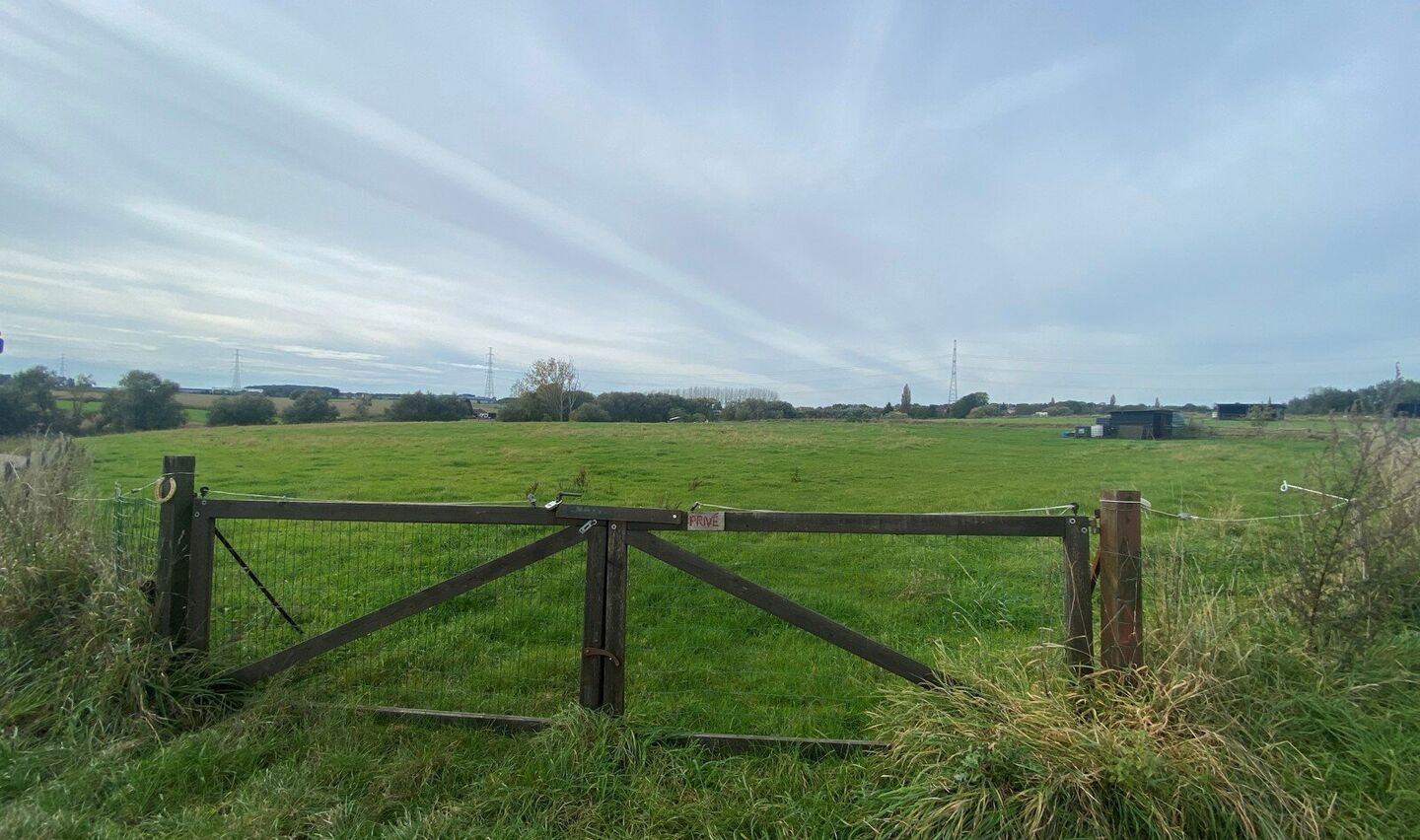 Prairie &agrave; vendre &agrave; Halle