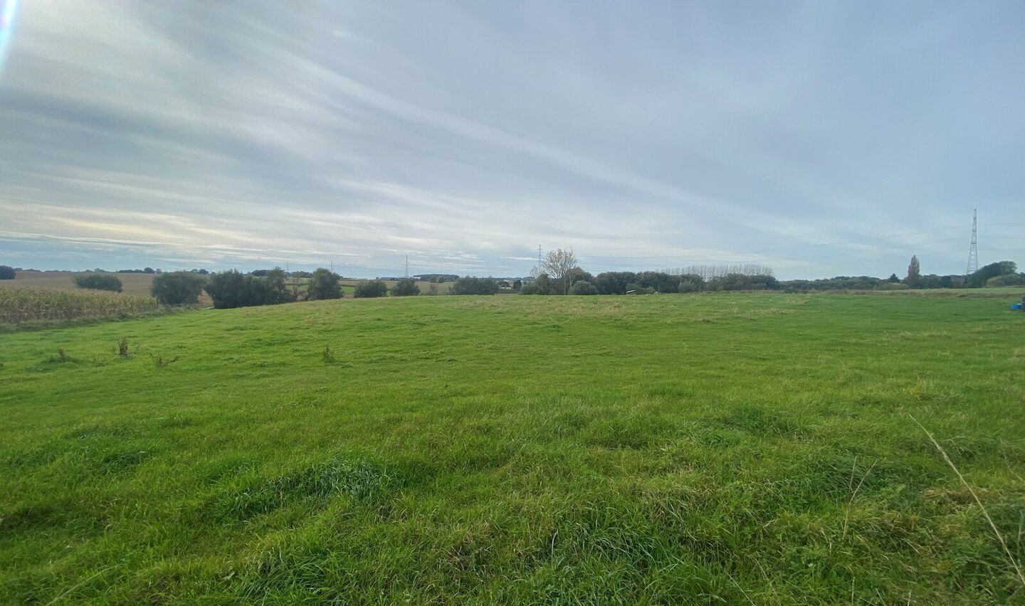 Prairie &agrave; vendre &agrave; Halle