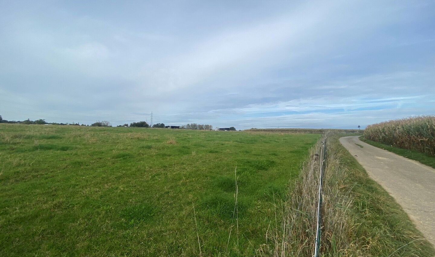 Prairie &agrave; vendre &agrave; Halle