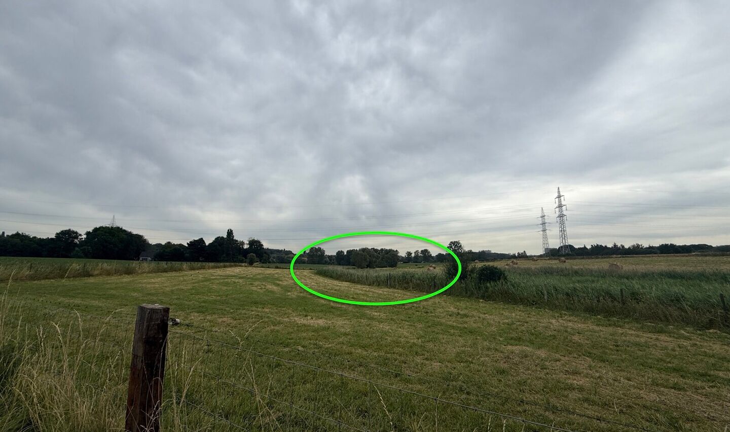 Weide te koop in Anderlecht
