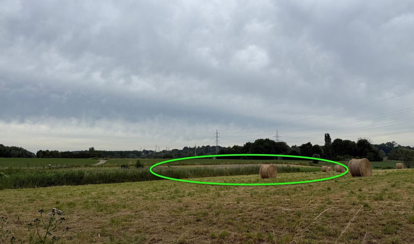 Weide te koop in Anderlecht