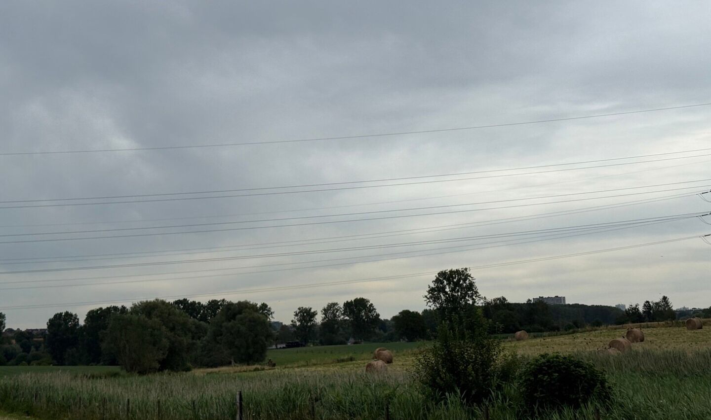 Weide te koop in Anderlecht