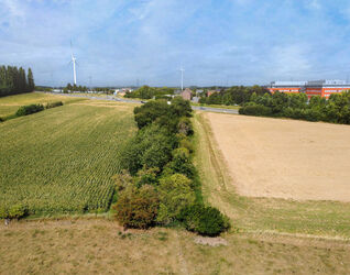 Bos te koop in Halle