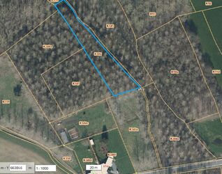 Bos te koop in Sint-Pieters-Leeuw