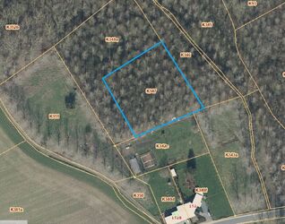 Bos te koop in Sint-Pieters-Leeuw