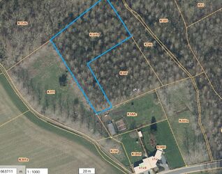 Bos te koop in Sint-Pieters-Leeuw