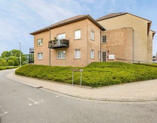 Duplex te huur in Dilbeek