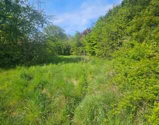 Huis te koop in Dilbeek