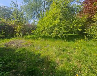 Huis te koop in Dilbeek