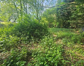 Huis te koop in Dilbeek