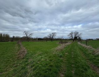 Landbouwgrond te koop in Sint-Pieters-Leeuw