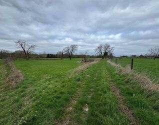 Landbouwgrond te koop in Sint-Pieters-Leeuw