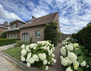 Maison à louer à Halle