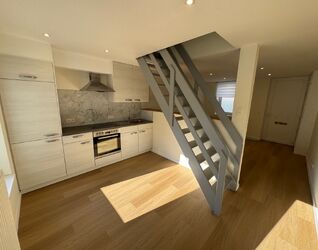 Maison &agrave; louer &agrave; Halle