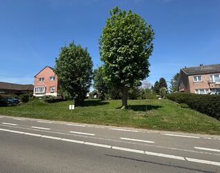 Terrain &agrave; b&acirc;tir &agrave; vendre &agrave; Sint-Pieters-Leeuw