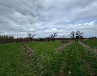 Verger &agrave; vendre &agrave; Sint-Pieters-Leeuw