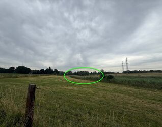 Weide te koop in Anderlecht